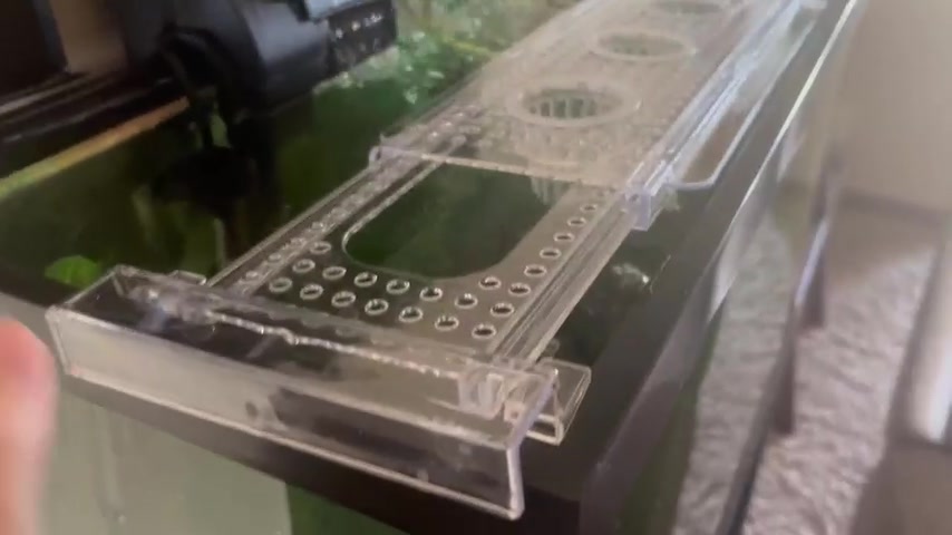 Clear telescoping aquarium plant shelf installed across a tank rim