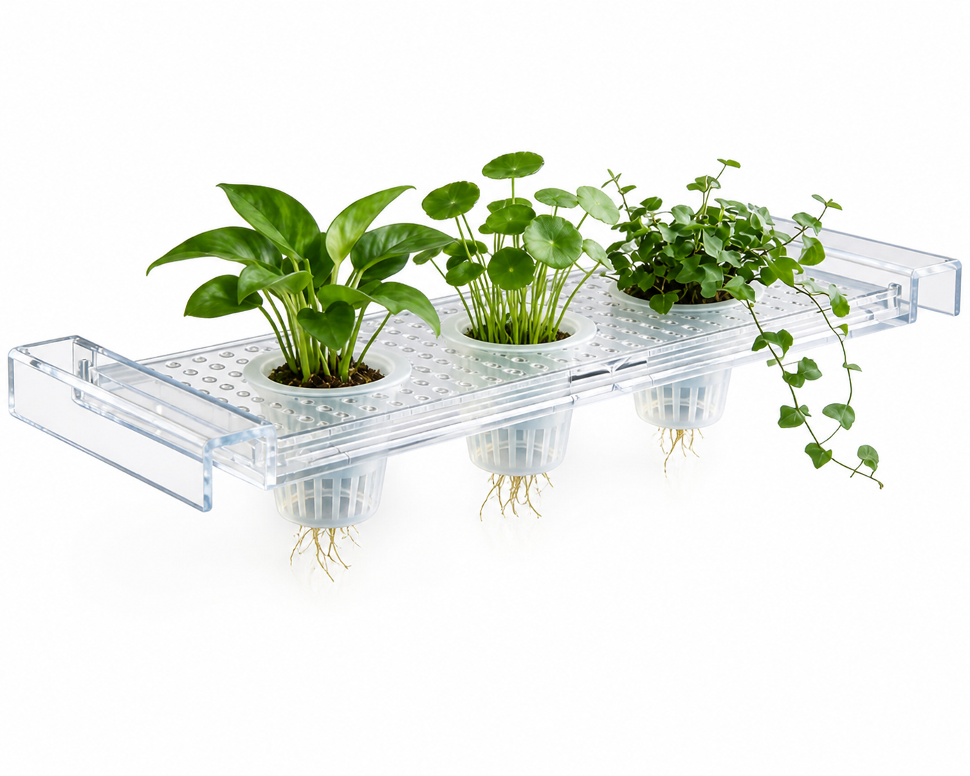 Clear telescoping aquarium plant holder with three plant cups
